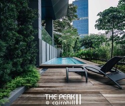 The Peak @ Cairnhill II (D9), Apartment #315438371